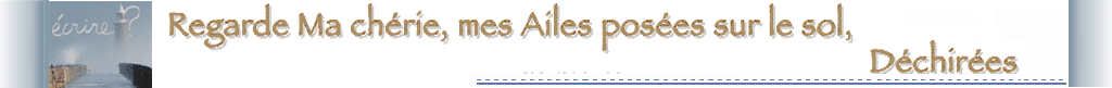 accueil poemes