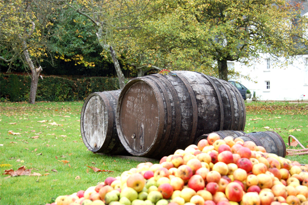 cidre normand